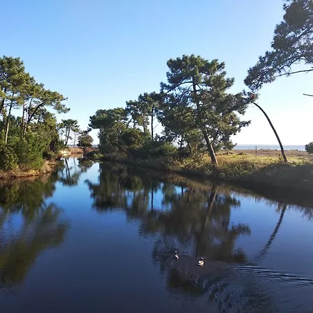 Homeferret33 - Au Camping Les Viviers